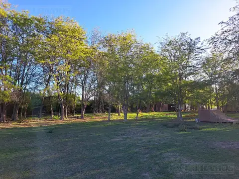 Terreno en Venta en Carabassa, USD 155.000