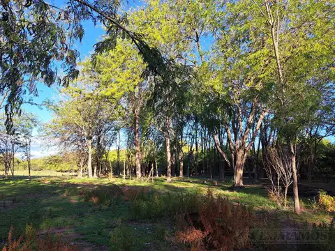 Cabo de Hornos y Georgias del Sur