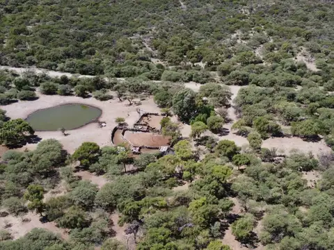 Campo de 823 HA SAN LUIS