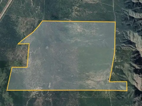 Rta Vieja 3 - San Luis - 823ha