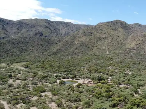 Rta Vieja 3 - San Luis - 823ha