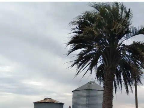Venta Campo en Gral. Lopez Santa Fe