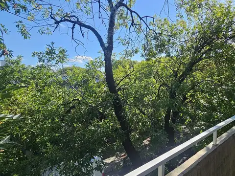 Depto Tipo Casa en Venta de 1 dormitorio