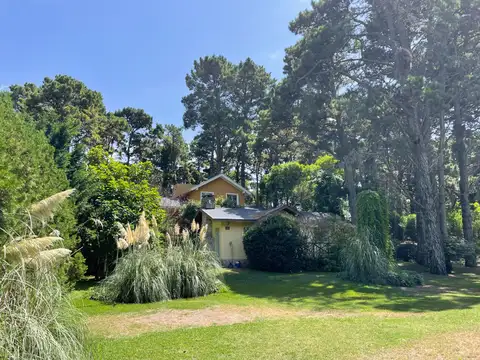 Froky (Duendes de Mar Azul)