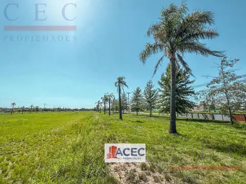 Terreno en Venta 20  mts Frente