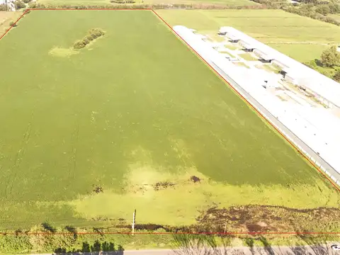 Camino de la Costa Brava