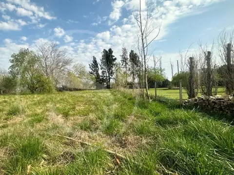 Terreno en Venta de 2960,0 m2