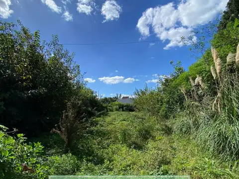 Terreno en Venta 47  mts Fondo