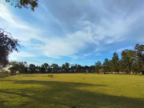 José Manuel Estrada 2100