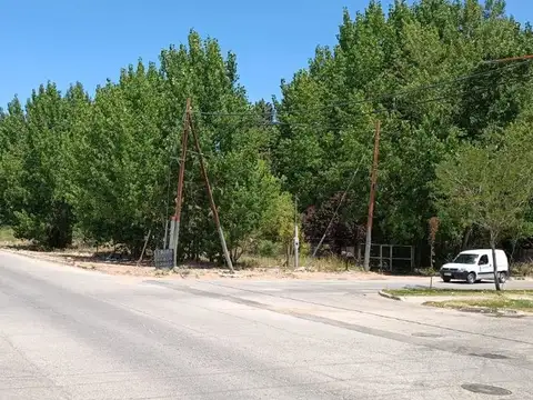Lote 4870 m2,  muy arbolado y casa, Pza. Huincul