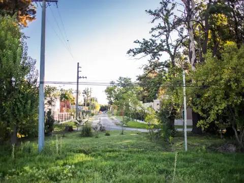 Terreno en Venta en Cañuelas Urbano, USD 55.000