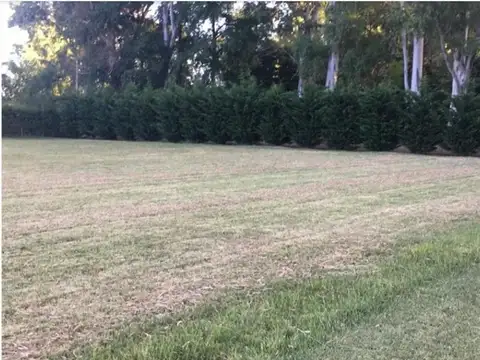 ESPECTACULAR LOTE DE 6000 MTS CON DERECHOS PAGOS