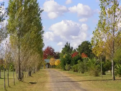 Terreno en Venta en Posada de los Lagos, USD 26.000