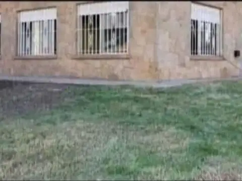 Benito Lynch 100