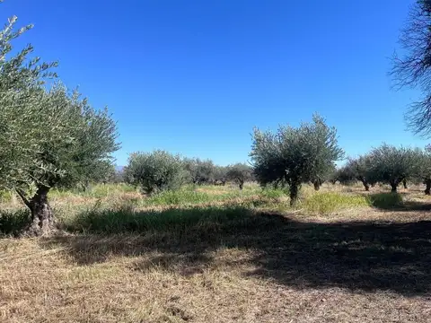 TERRENO EN VENTA DE 4,496,88 m2 EN RUSSELL, MAIPÚ