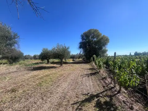 Terreno en Venta de 4497,0 m2