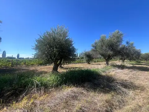 Terreno en Venta en Russell, USD 130.000