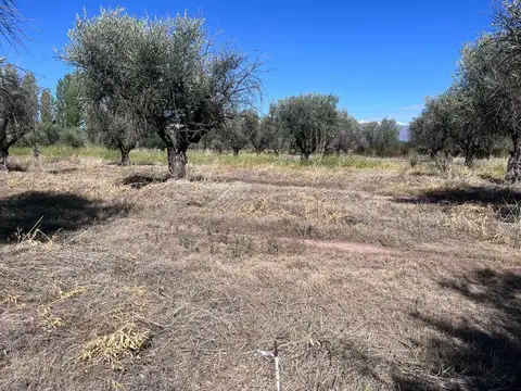 Terreno en Venta de 4497,0 m2