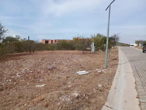 Colinas De La Deseada 100