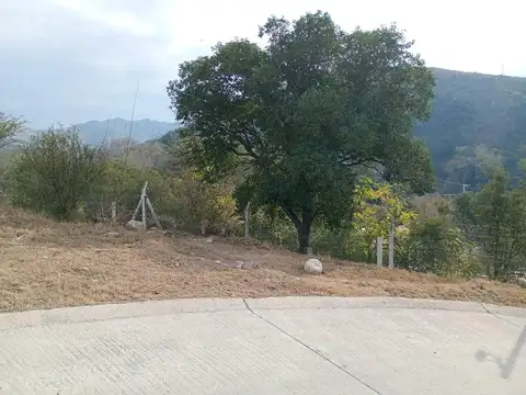 Colinas De La Deseada 100