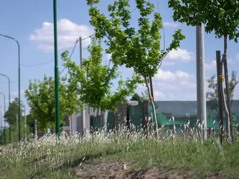 Los Pinos 3 - Terreno