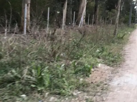 TERRENO 80 X 225 MASCHWITZ LA PISTA