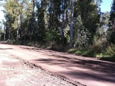 Terreno en Venta de 18600,0 m2