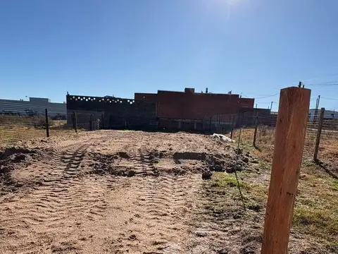 De los molles Cenicientos