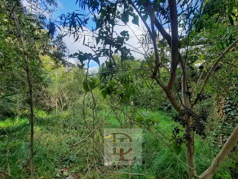 Terreno en Venta de 353,0 m2