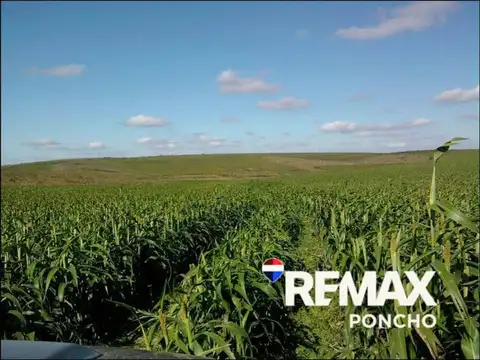 Vend0 Campo Productivo Agricultura y Ganadería