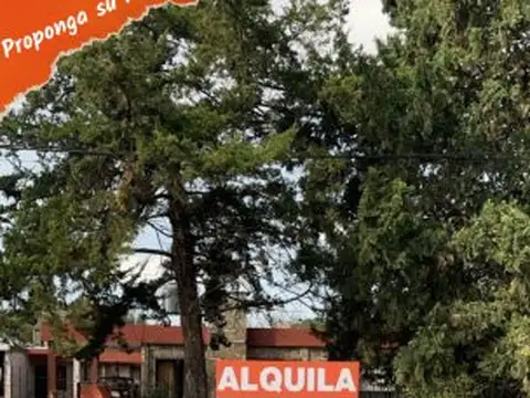 Alquiler comercial sobre Elorza