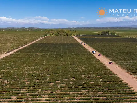 Campo en Venta de 46  ha