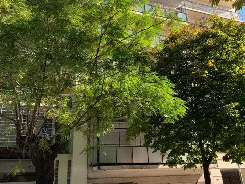 G De Helguera 4700, Piso 1