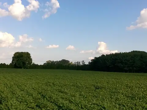 Terreno en Venta en Santa Lucia, USD 55.000