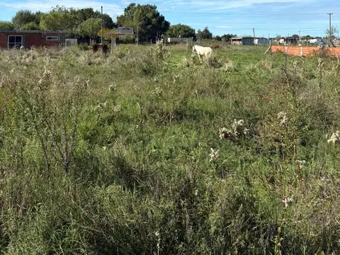 Terreno en oferta! Calle 13 e/ 65 y 66, Mar del Tuyú (160804).
