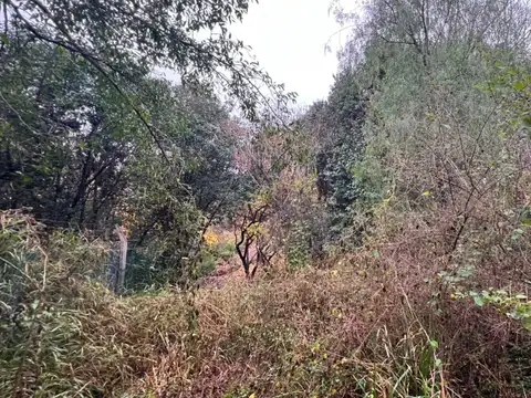 Terreno en Venta de 1647,0 m2