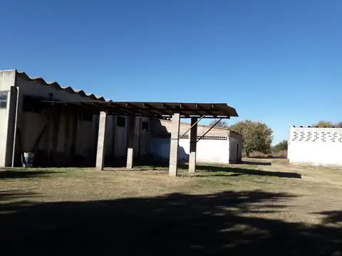 Pozo Del Tala