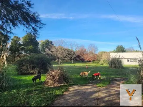 Quinta en Venta en Lobos, USD 450.000