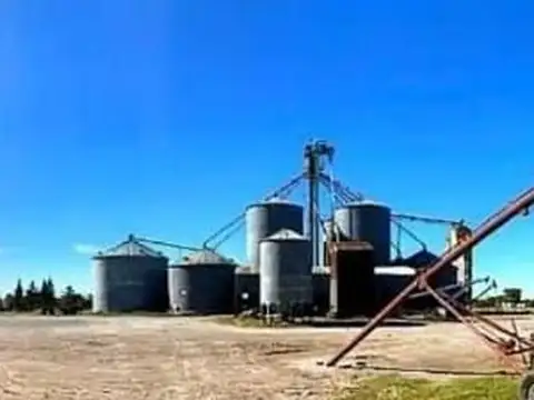 VENTA CEREALERA EN VENTA - CORONEL DORREGO, BUENOS AIRES