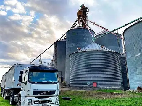 VENTA CEREALERA EN VENTA - CORONEL DORREGO, BUENOS AIRES