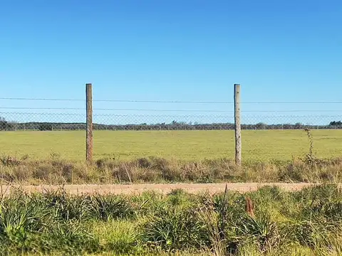 Terreno en Venta de 90000,0 m2