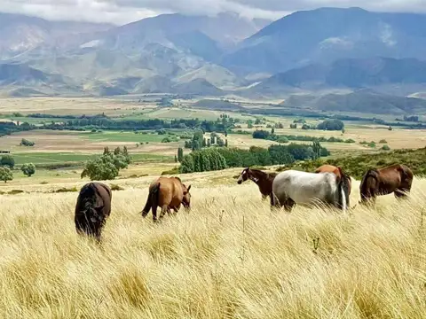 Terreno en Venta de 2100,0 m2