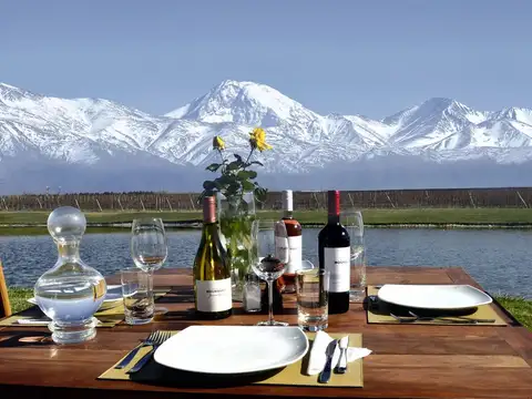 Terreno en Venta 52  mts Frente