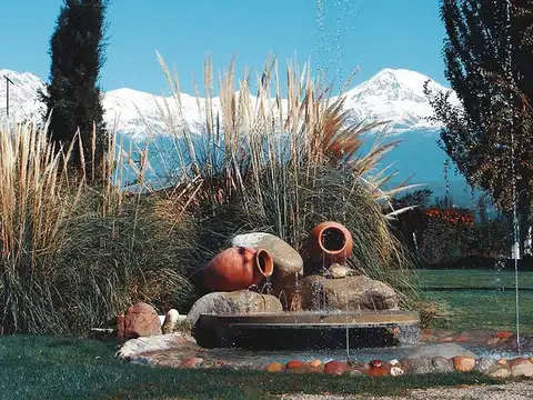 Terreno en  Venta en Tupungato