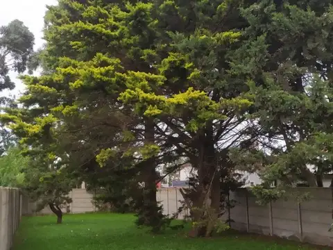 Terreno en Venta en Santa Clara Del Mar, USD 28.000