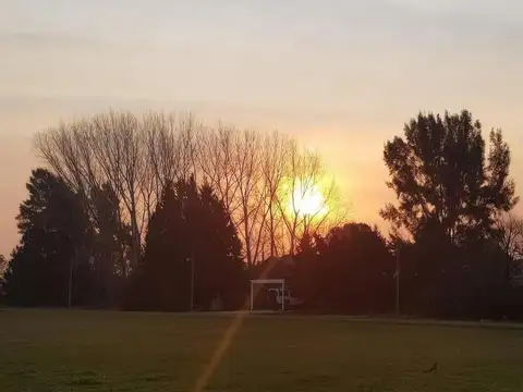 Terreno en Venta 40  mts Fondo