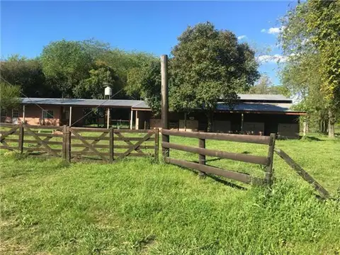 PROPIEDADES RURALES - 10 Ha en Ruta 28