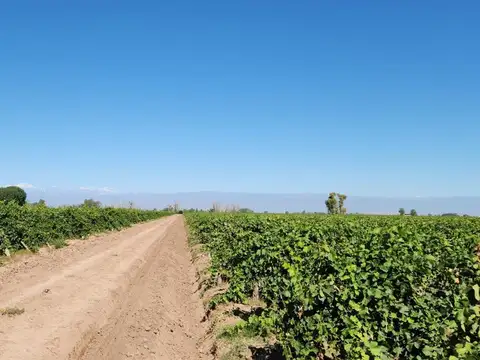 Ruta 33