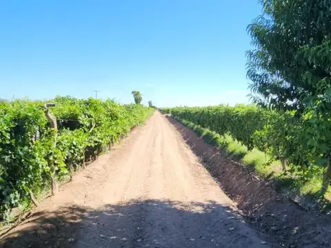 Ruta 33
