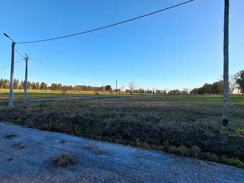Terreno en Venta de 995,0 m2